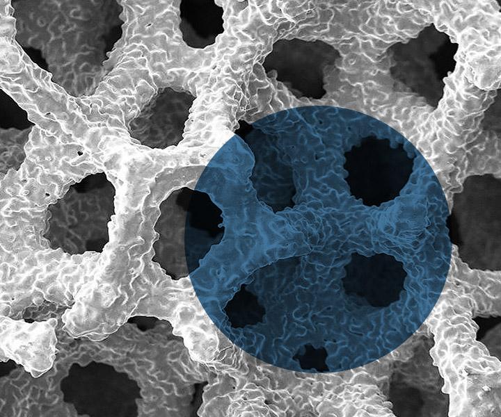 BioFoam Cancellous Titanium surface