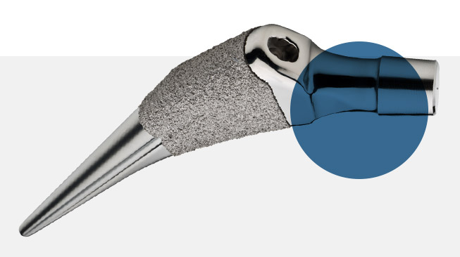 Profemur TL hip stem