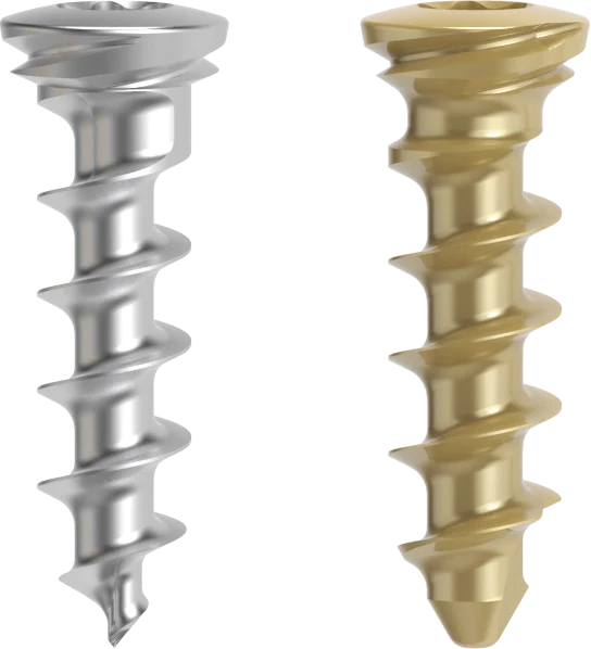A 2.4 mm locking screw in silver and a 2.7 mm locking screw in gold